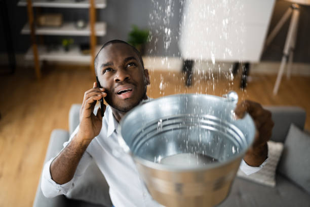 Best Carpet water damage restoration  in Grand Coulee, WA