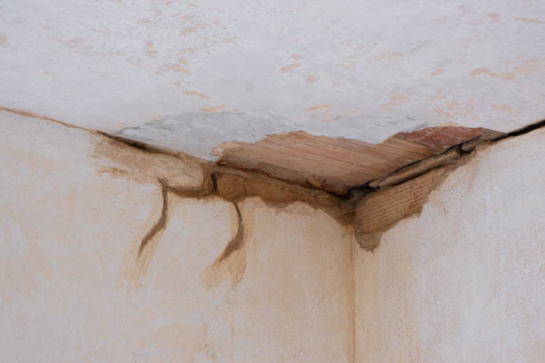 Best Water damage restoration company  in Grand Coulee, WA
