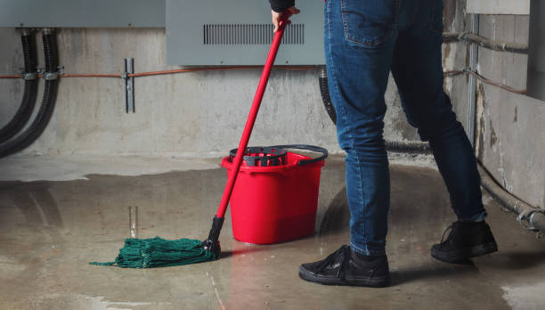Best Ceiling water damage repair  in Grand Coulee, WA
