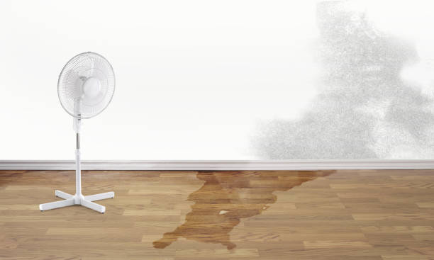 Professional Water damage restoration in Grand Coulee, WA
