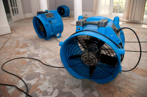 Best Professional water damage repair  in Grand Coulee, WA