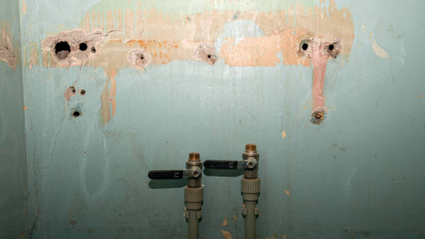 Best Commercial water damage restoration  in Grand Coulee, WA