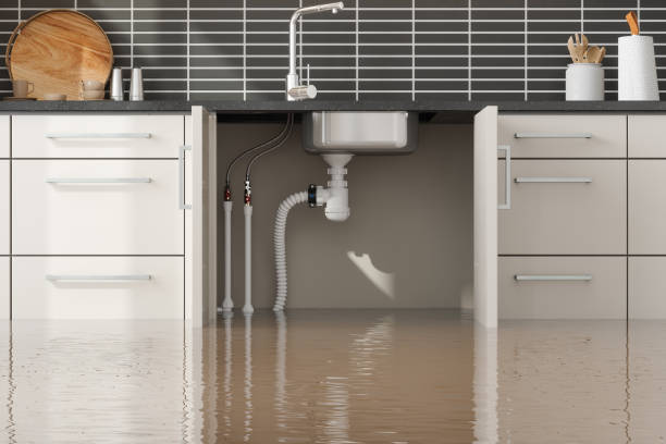 Best Water damage restoration specialists  in Grand Coulee, WA