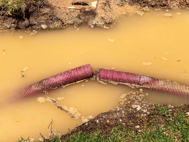 Best 24-hour water damage restoration  in Grand Coulee, WA